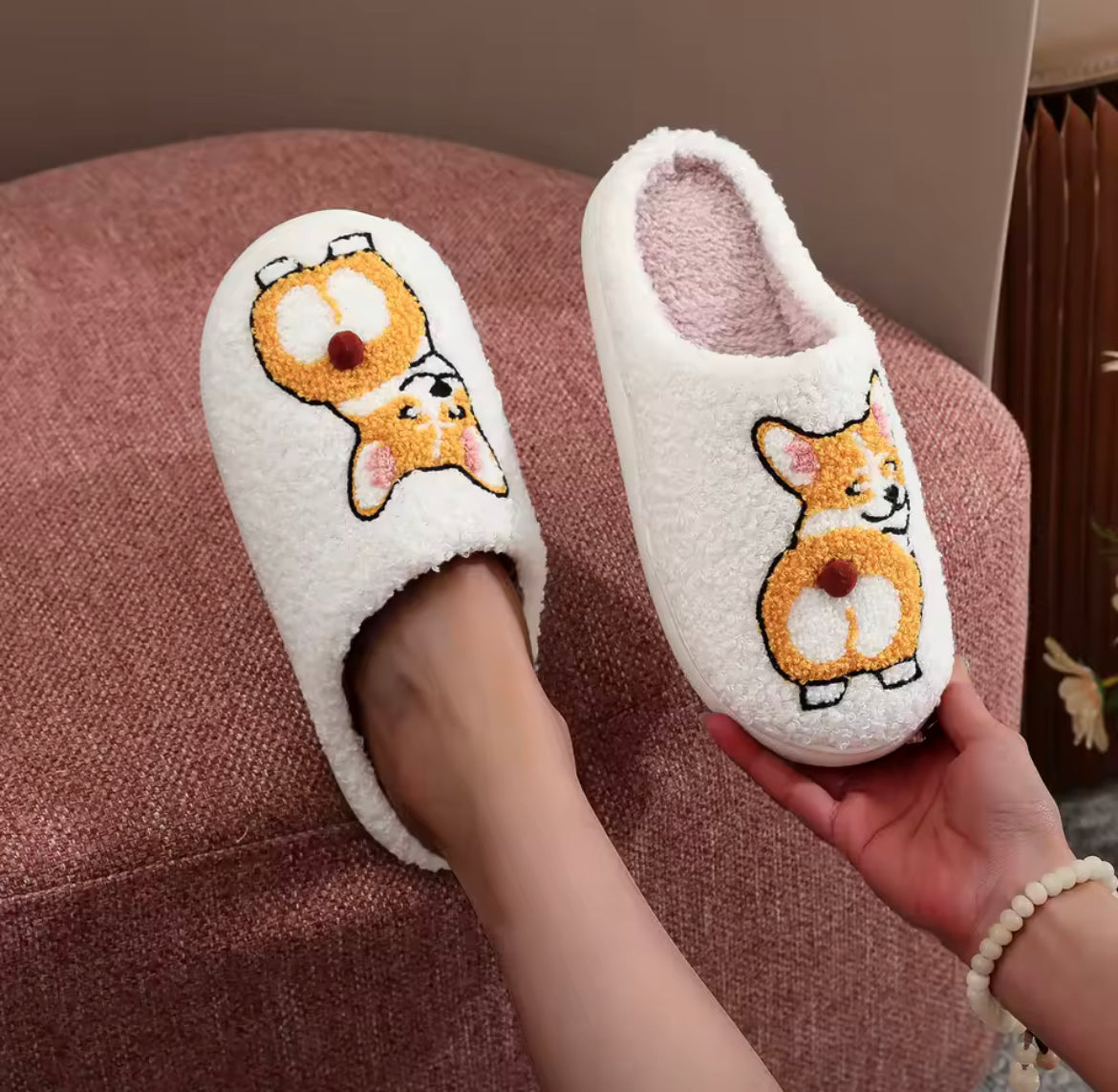 Corgi Slides