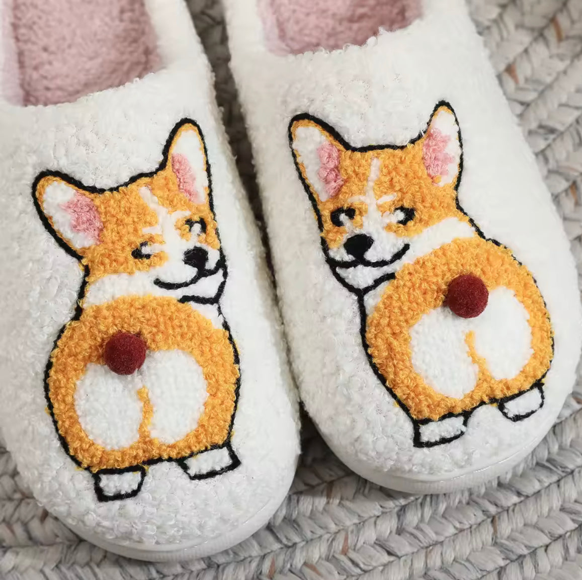 Corgi Slides