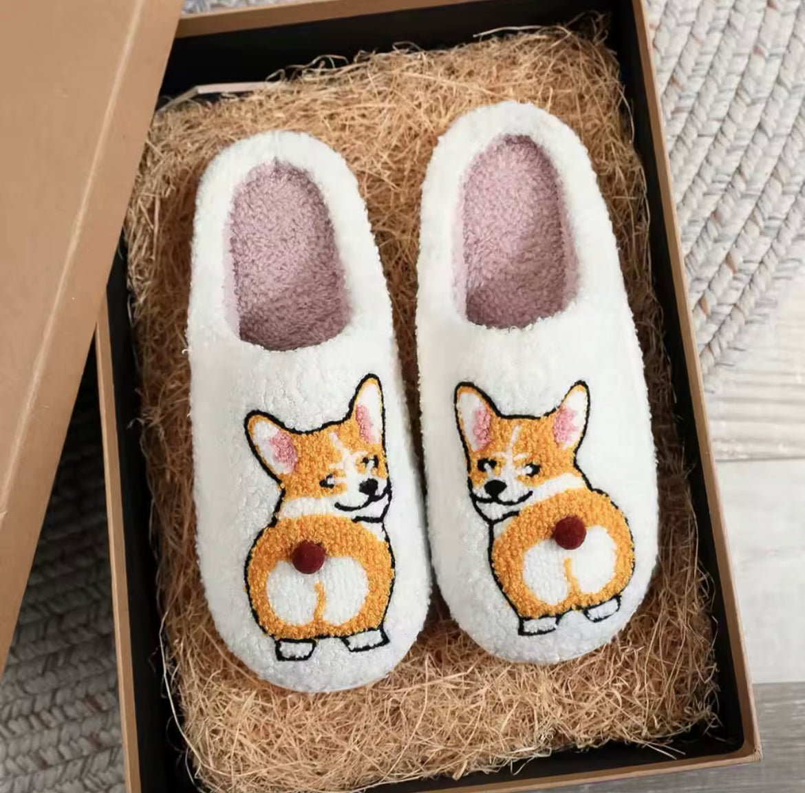 Corgi Slides